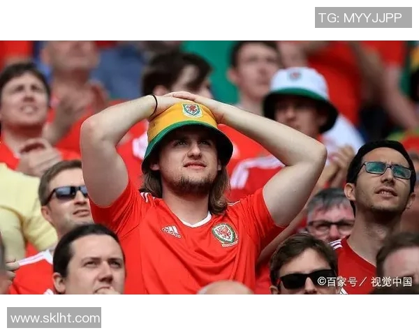 威尔士与阿塞拜疆比赛前瞻及胜负预测分析