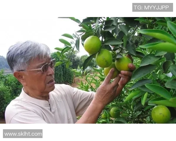 李禄的传奇人生与历史遗产探寻:从诗词到政治的多重身份解析 李禄的传奇人生与历史遗产探寻:从诗词到政治的多重身份解析