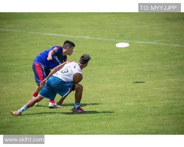 飞盘之路:南京飞盘队拼搏与成长的真实故事MBA 飞盘之路:南京飞盘队拼搏与成长的真实故事MBA