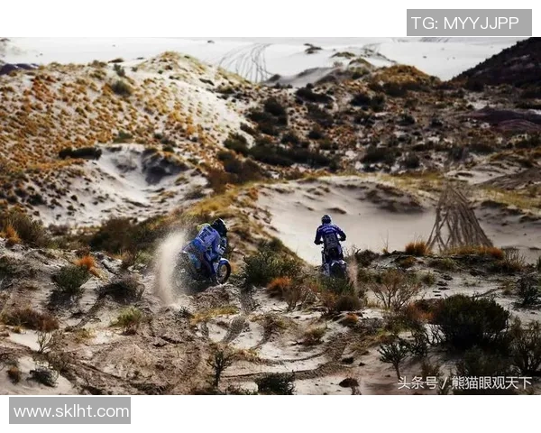 2018国际赛秘鲁与苏格兰激情对决回顾与精彩瞬间分析 2018国际赛秘鲁与苏格兰激情对决回顾与精彩瞬间分析