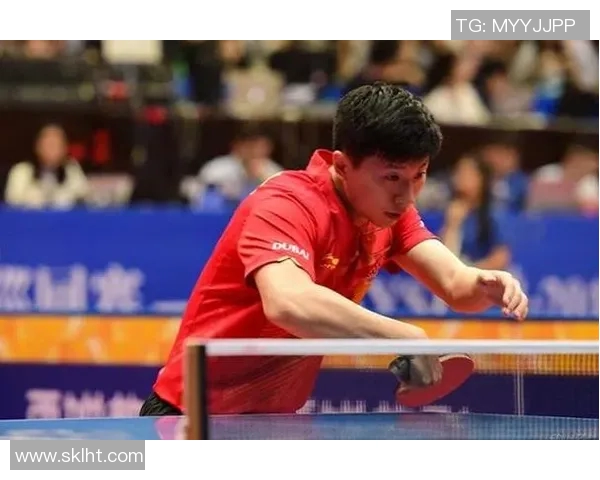 深入解析上海乒乓球队技术表现的数据分析与发展趋势探讨 深入解析上海乒乓球队技术表现的数据分析与发展趋势探讨