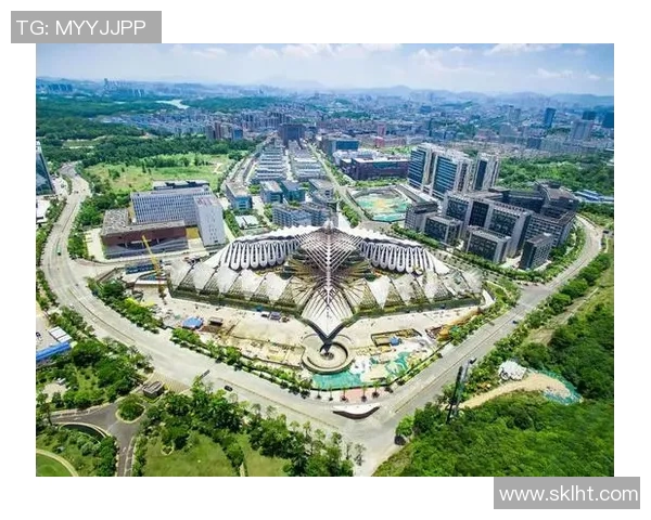 深圳篮球队区域防守革新之路探索与实践分析